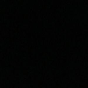 Meet your Posher, Jerry